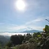 snave_88