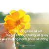 phuoc.pacheo84