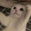 yu_uu_uuuu