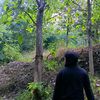 shff_18