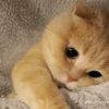tiwok_pati02