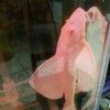 amy_168i
