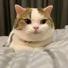 hththhyn