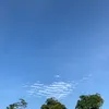 miihgg_8071
