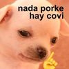 luis_1599