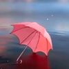 i.vana_li3
