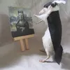 quackiquack