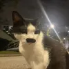 mfmtmr