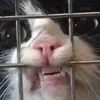 beanbxtch