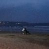 sintaevna_