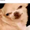 rhysandswife2k2