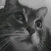 zeuhbyy