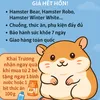 linh1162002