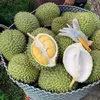 Sinh durian