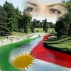 dmoa_alwared