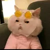milu_jenn_