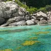 tuantruong2221