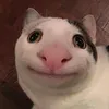 ghienmatcha99