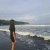cel_1n5