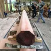 30856379873