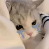 gia_han8610