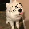 wyaebi_