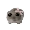 azly14uvu