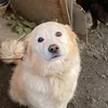 exwqgy