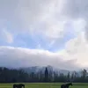 ra.la_la.ra