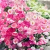 waseda20