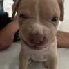 ____veta
