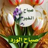 user3258629781119