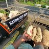 nandojayafarm