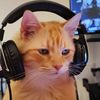 crazcatlad88