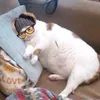_btsundoku