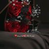 user17170711