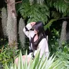 nhuphung291