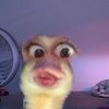 _ekra7