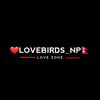 lovebirds_np
