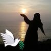 nazeersayed