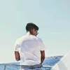 luxdino1