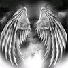 angelewings2422