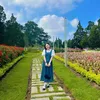 Hương Bán Tạp Hoá
