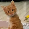 moccaciiinoooo
