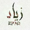 ziyadalsaady