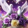 user6010544