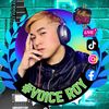 voiceroy03