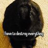 violent_mutt14