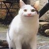 fhnybb