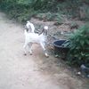 leogirl08.21